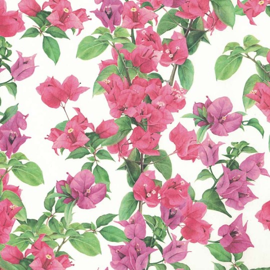 Pink Bougainvillea Floral Print Italian Paper ~ Tassotti